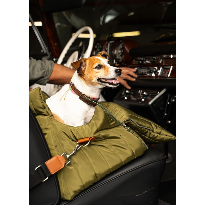 Чорничний собачий рюкзак Flying Dog Sunny 3-в-1: переноска, автокрісло та лежак для собак до 10 кг, оливковий колір