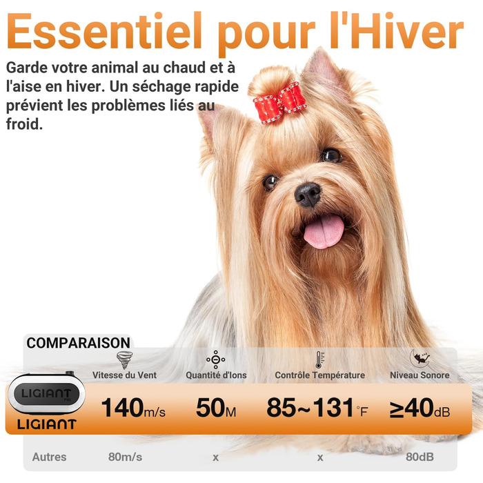 Фен для собак P40, тихий (40 дБ), 3 насадки, регулювання швидкості та температури, іонізація, портативний, для собак та котів, чорний