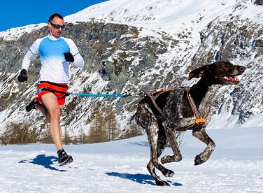 Шлея для собак I-dog Canicross X-Back One XL, для бігу з собакою