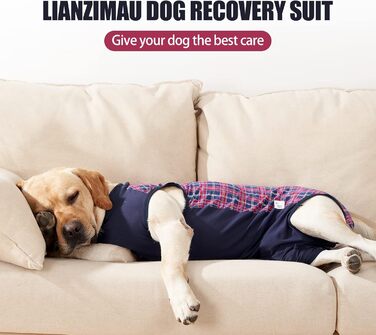 Комбінезон для собак, дихаючий, для захисту післяопераційних ран, альтернатива конусу, післяопераційний (S, 1 шт, синій+червоний)