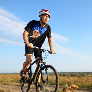 Сумка-слінг для собак NiCoLa: переноска для цуценят, чихуахуа, пуделів, бішон фрізе та котів, сіра/чорна