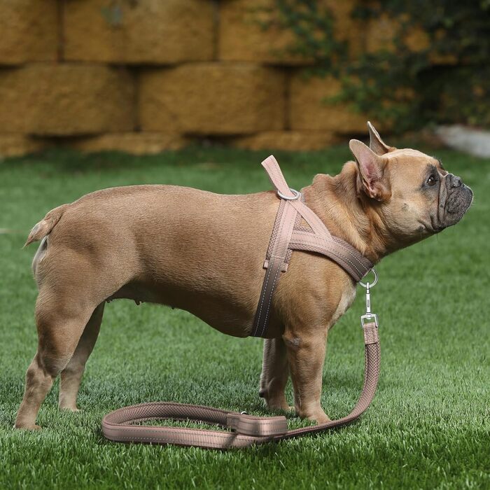 Plutus Pet шлея для собак проти тягнення, регульована, дихаюча, з відбивачем, нейлонова, бежевого кольору, M, для малих, середніх і великих порід
