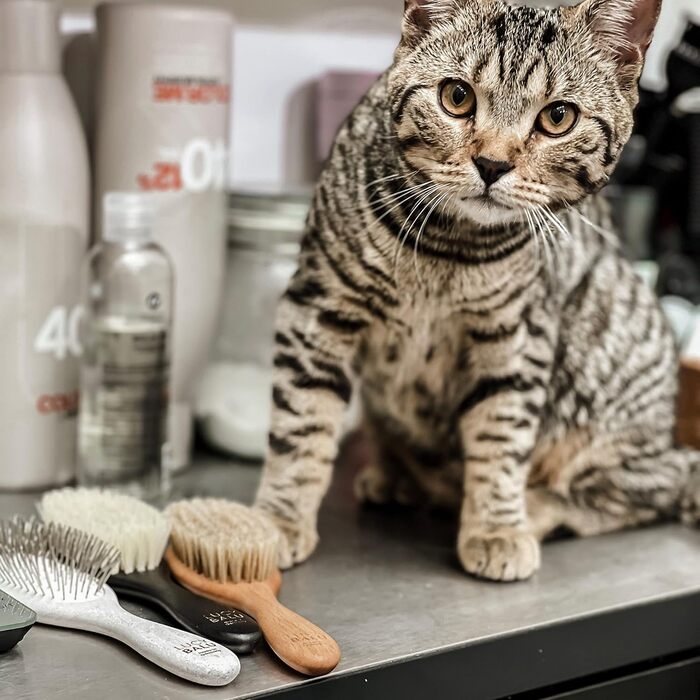 Щітка для котів LucyBalu® для короткої та довгої шерсті | Щітка для вичісування шерсті котів | Щітка для підшерстка котів | Гребінець для котів для догляду за шерстю | Щітка для шерсті тварин | Щітка для котів з металевими щетинками та дерев'яною ручкою б