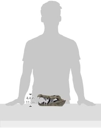 Декорація для акваріума Blue Ribbon Rosewood Череп людини, реалістичний, 120 мл