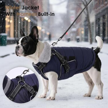 Зимовий одяг для собак ASENKU: теплий, водонепроникний, вітрозахисний, з світловідбиваючими елементами. Підходить для малих, середніх та великих собак. Кольори: зелений (S), синій (S).