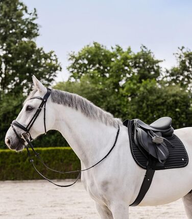 Шабрак Waldhausen Riga, чорний колір, для коней