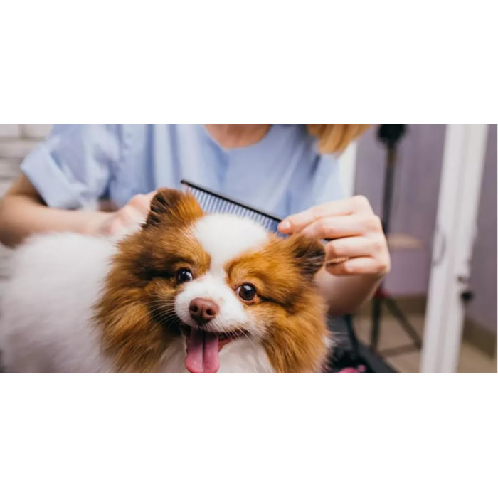 Професійна шерстьострижуча ножиці з нержавіючої сталі для собак та котів, ергономічні ручки, точне різання, довговічні та безпечні, ідеальні для грумінгу вдома та в професійних салонах