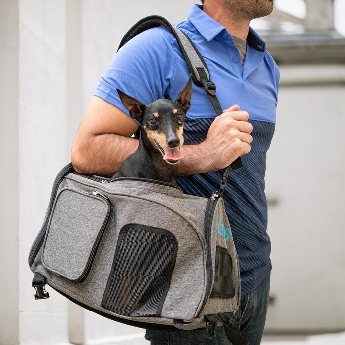 Рюкзак-переноска для тварин Sherpa 2-в-1, сірий, розмір M (43x27x28 см), дозволений авіакомпаніями, машинного прання, з сітчастим вікном, безпечними замками, легким каркасом
