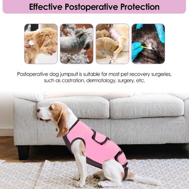 Піжама для собак після операції ASENKU: захист від лизання, альтернатива конусу, рожева, M