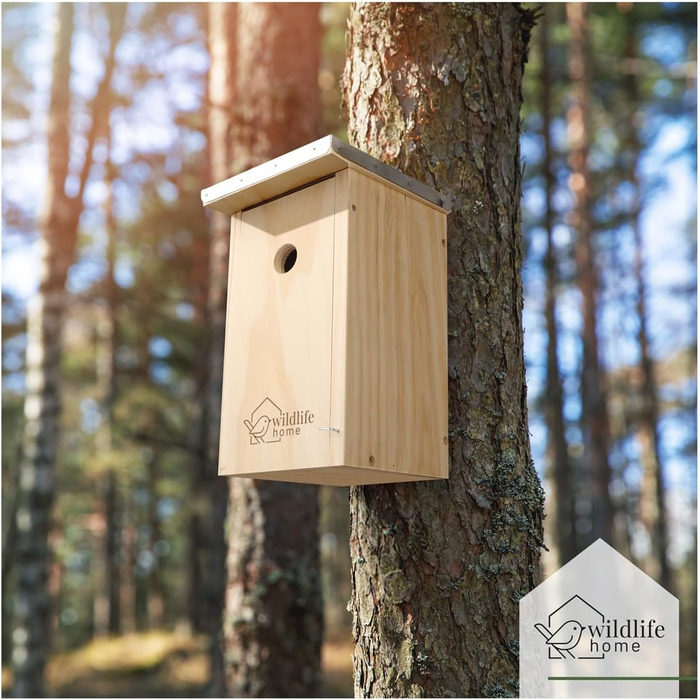 Скворечник WILDLIFE HOME з металевим дахом для синиць, виготовлений з масиву дерева, за стандартами NABU, для блакитної синиці та інших птахів, стійкий до погодних умов, натуральний, підвісний