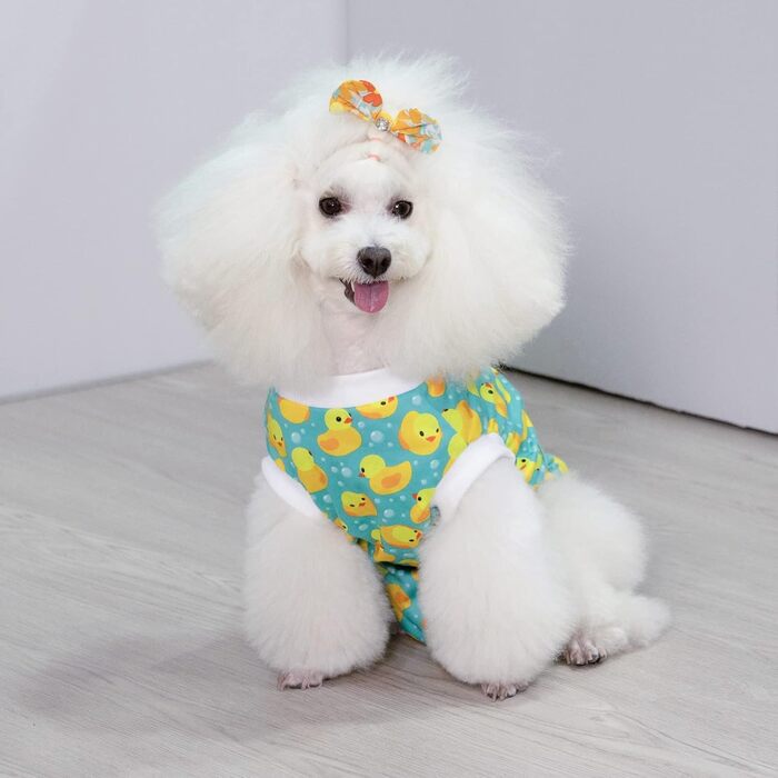 Комбінезон для собак CuteBone Skulls після операції, для котів та собак, запобігає лизанню ран, XS, жовтий качур