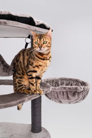 Кігтеточка Petrebels Catharina 160 см трикутна, преміум-якість, для великих котів з XXL гамаком і будиночком, колір капучино