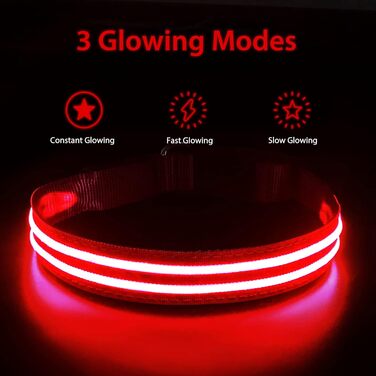 Світлодіодне нашийник для собак PCoTllar, зарядний, 3 режими світіння, регульований, водонепроникний, для малих, середніх та великих собак, блакитний, L (48-60 см)