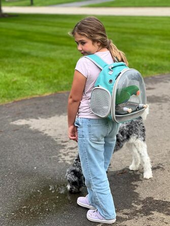 Рюкзак-переноска для птахів Kleiner Vogel: папуги, канарки, хвилястих папужок, візит до ветеринара, прозора капсула (зелений)