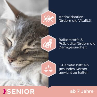 Сухий корм для літніх котів Eukanuba Senior, 10 кг
