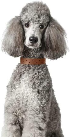 Нашийник для собак HUNTER Aalborg Soul, колір коньячний з сердечком, міцний, розмір 30