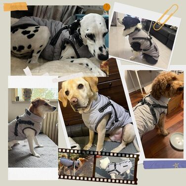 Зимовий теплий пуховик для собак середніх порід, водонепроникний, з коміром-стійкою, з кільцем для повідка, 6XL