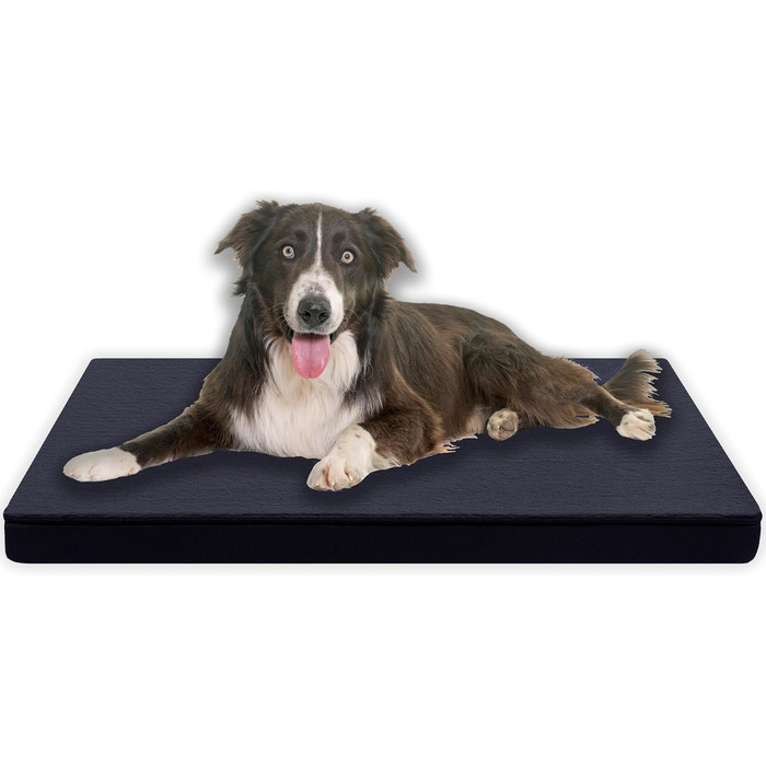 Ортопедична подушка для собак Преміум-якості, сірого кольору, 80x60 см, з повним шаром піни 3 см, зйомний тканинний чохол, придатна для прання при 40°C, гіпоалергенна, для собак середніх порід