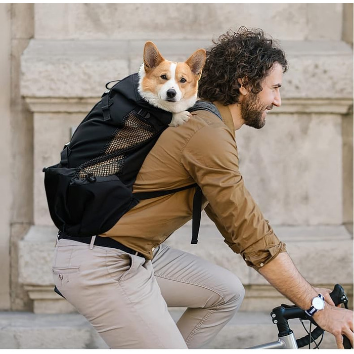 PETCUTE Рюкзак-переноска для собак і котів, чорний, до 3 кг