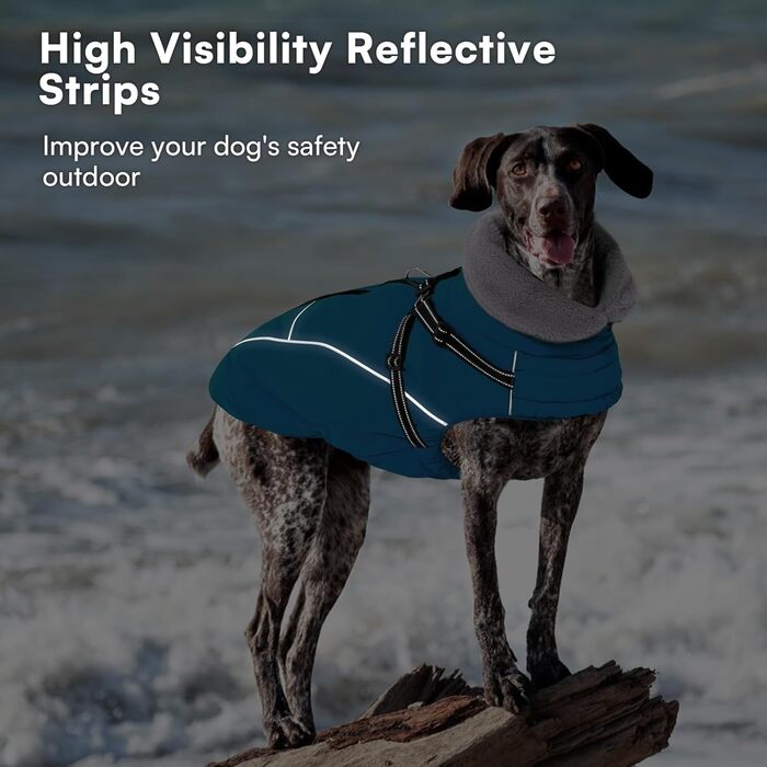 Зимовий теплий водонепроникний одяг для собак Queenmore, куртка для собак з шлейкою, 3-шаровий, світловідбиваючий, для великих порід (Лабрадор, Хаскі, Голден Ретрівер) (2XL) (XS, Коеліновий блакитний)