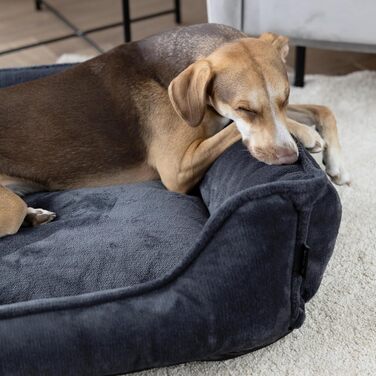 4L Textil IRIS: Ортопедичне собаче ліжко Premium-LINE з Memory Foam (100x80 см, темно-сірий)