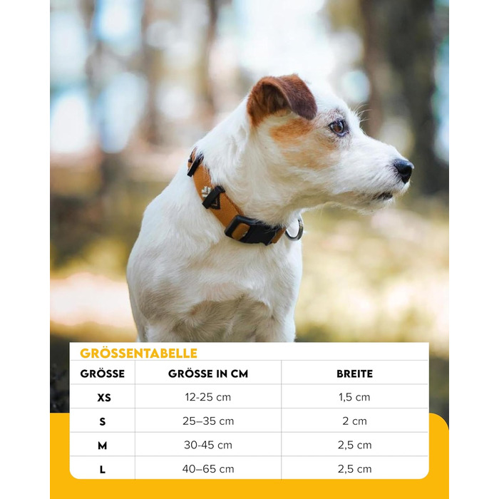 Нашийник для собак середнього розміру Woolly Wolf Sea to Summit, M - регульований, з переробленого поліестеру