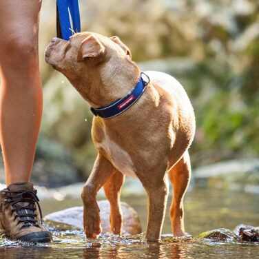Нашийник для собак EzyDog, великий, середній, малий, середній, неопрен, водонепроникний, світловідбиваючий, рожевий (M, L 45-51 см)