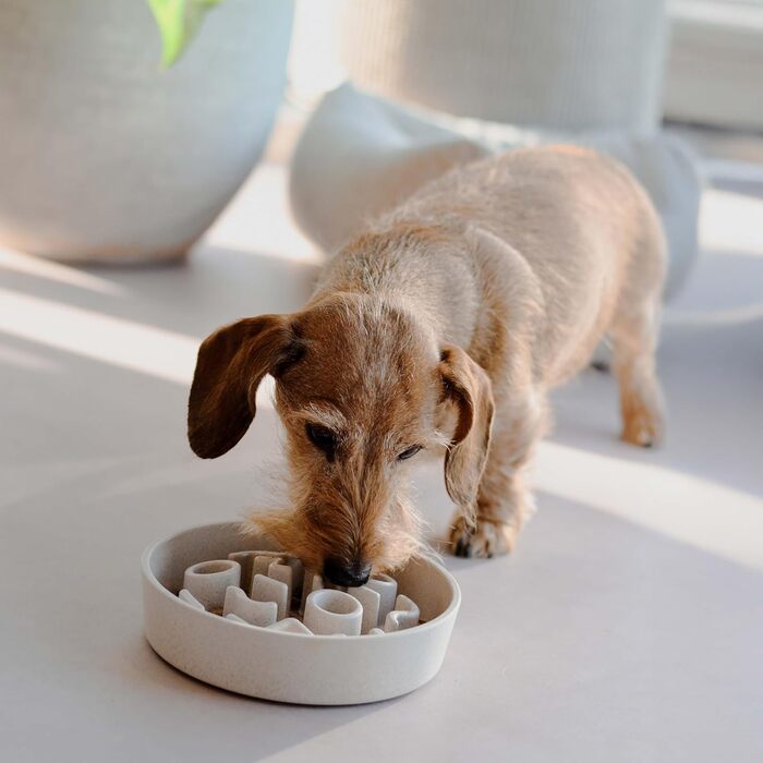 Місцевий повільний годівник для собак з бамбука District 70 - діаметр 28 см