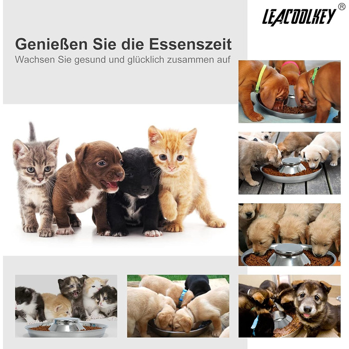 Набір з 2 мисок для собак з нержавіючої сталі LEACOOLKEY - миски для корму та води, для повільного годування, для маленьких собак, котів, тварин, сріблясті