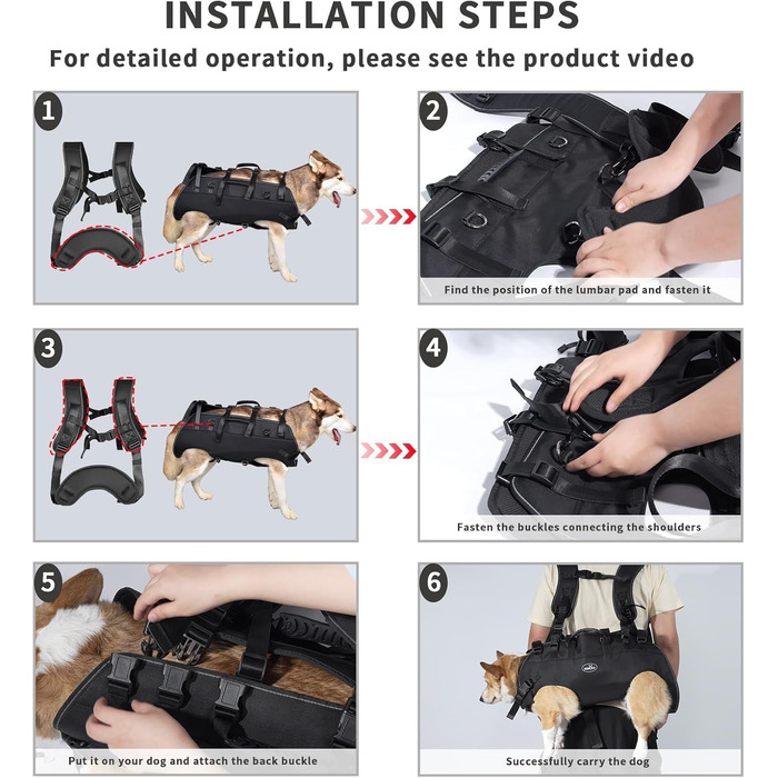 Сумка-переноска та повідок для собак, Wakytu, для маленьких собак (4-8 кг), чорний, регульовані ремені