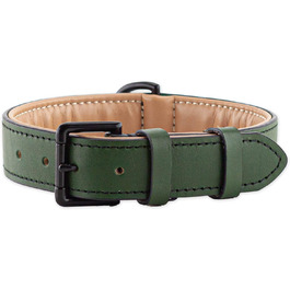 колір: темно-зелений