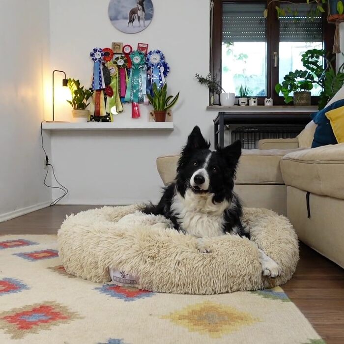 Кругле ліжко для собак Pfoten&nasen® Wolke 7, Темно-сірий, M (75 см) - М'яке, зручне, для середніх собак