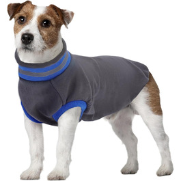 колір: сірий