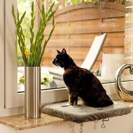 Кішка ліжко для вікна Lionto, м'яке, плюшеве, 35x50 см, для монтажу без свердління, знімний та пральний чохол, до 15 кг, темно-сірий (з написом)