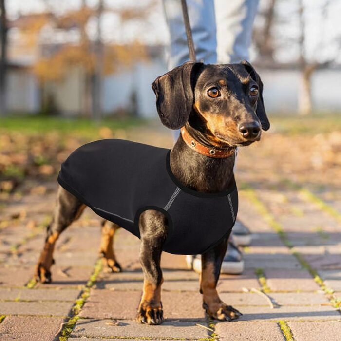Теплий флісовий пуловер для собак Hjyokuso Dackel L - для великих собак, сірий, універсальний