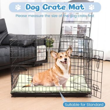 Крісло-лежанка для собак середніх порід Baodan, 90x60 см, миється, з антиковзною основою, бежеве