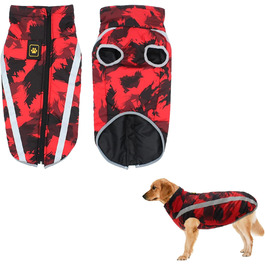 колір: гниль