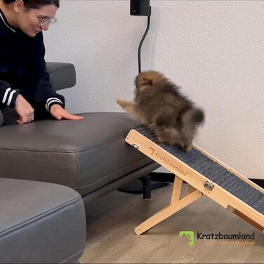 Рампа для собак та котів Kratzbaumland, дерев'яна, складна, регульована висота, 80 см (темно-сірий)