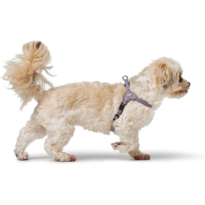 Нашийник для собак HUNTER SOHO MINI, чорний, з натуральної шкіри, м'який, для маленьких собак та цуценят, виготовлено в Німеччині, розмір XS