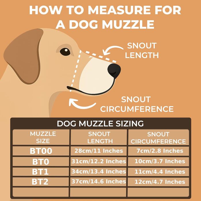 Шкіряна нашоломка для Бультер'єрів та собак з короткою мордою L&J Pets (BT0, Natural)