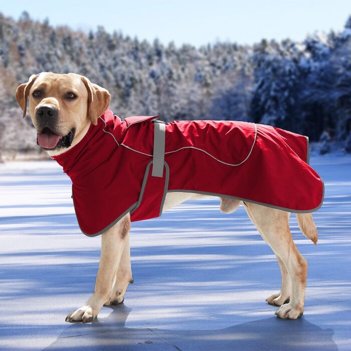 Водонепроникна куртка для собак Heywean з флісовою підкладкою, червона (L)