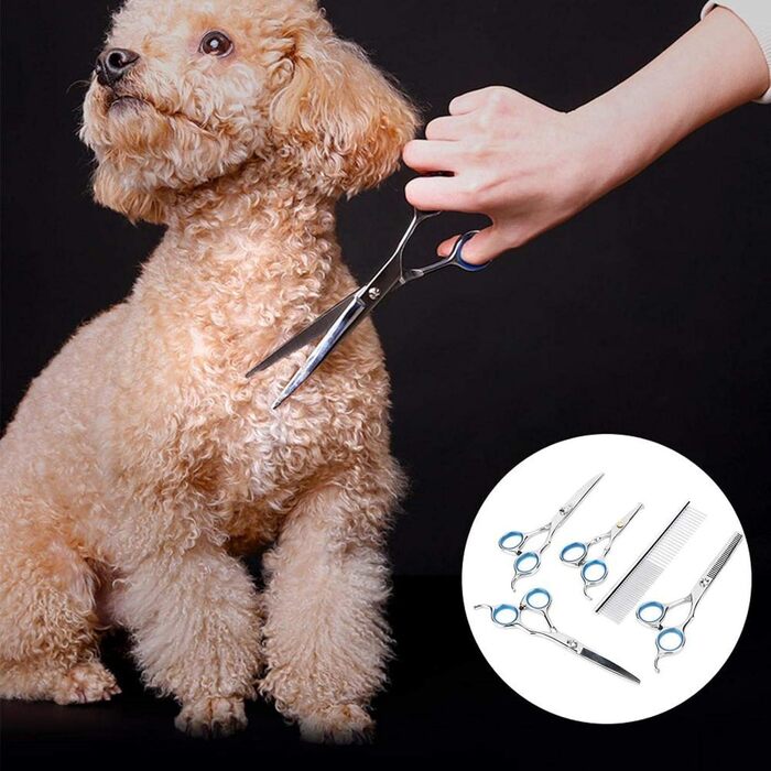 Набір професійних інструментів для грумінгу собак EVTSCAN: ножиці, триммер, ножиці з гребенем (6 шт)