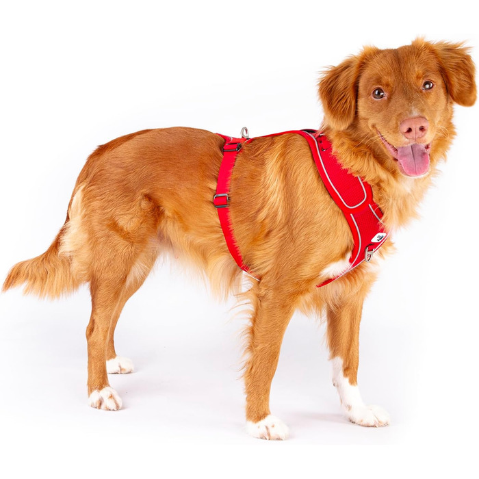 Шлейка для собак Belka, регульована, чорна, XL