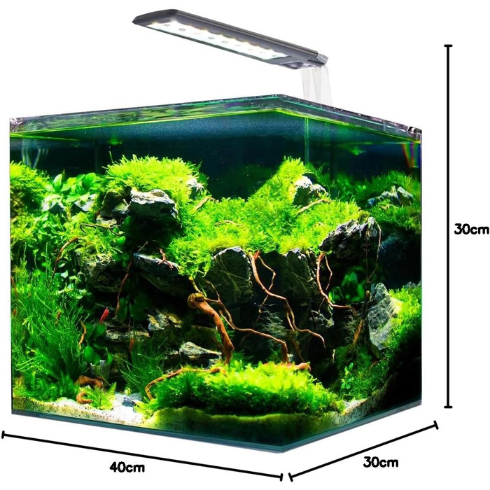Amtra Nanotank System 36 — акваріум із скла 36 л, LED-освітлення, фільтр, підкладка, 40x30x30 см