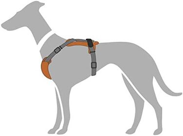 Нашийник для собак HUNTER AALBORG IXED, оливково-сірий, розмір M-L, з натуральної шкіри та нейлону, 5-рівневе регулювання, легкий, з пластиковими застібками, зроблене в Німеччині