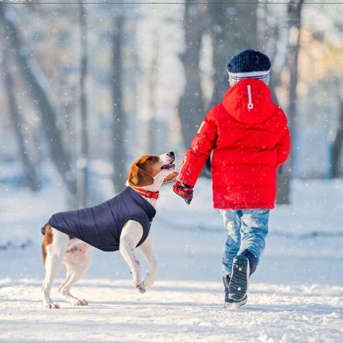Тепла куртка для собак Meioro, зимова, з підкладкою, для французького бульдога, мопса, блакитна, XXL