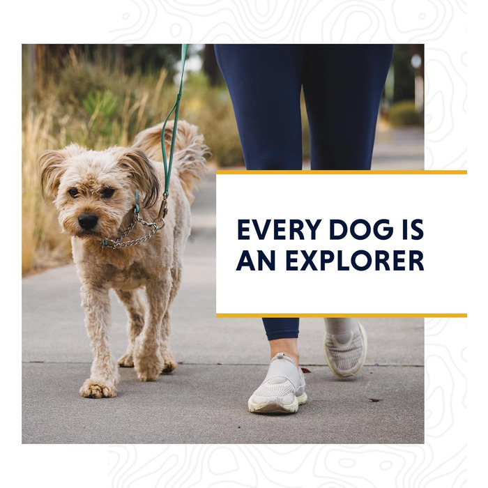 Регульований нашийник RUFFWEAR Chain Reaction для собак, антивитяг, тренувальний, алюмінієве D-кільце, обмежувач, відбивний, сірий, 35-51 см