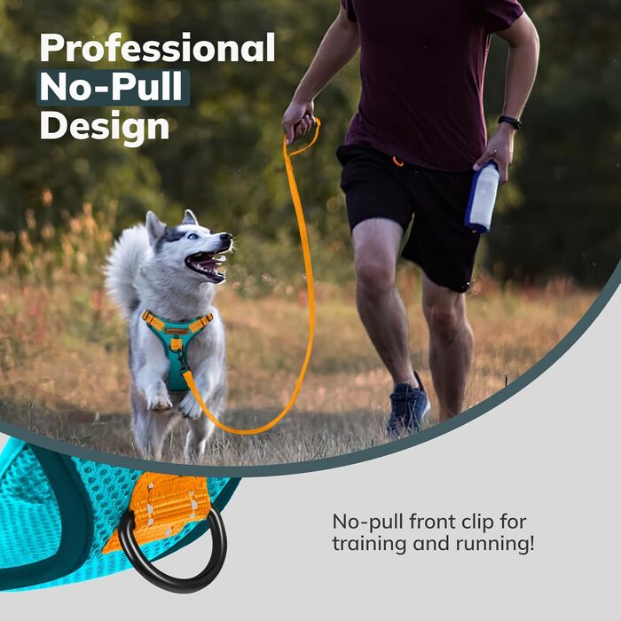 Шлейка для собак FAYOGOO з переднім кріпленням, не тягне, регульована, м'яка, з підкладкою, для малих, середніх та великих собак, синього кольору (S)