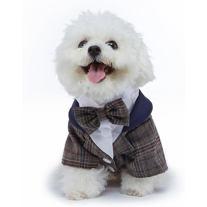 Елегантний костюм для собак: смокінг для маленьких та середніх собак, коричневий, з блакитною краваткою. Ідеально для вечірок, свят, днів народжень. Розмір M (довжина спини 29 см)