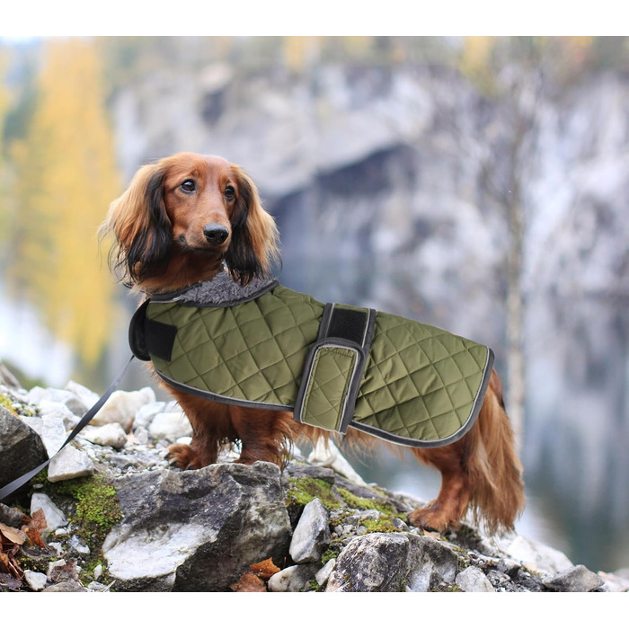 MOREZI Зимовий теплий зимовий одяг для собак Такса - Водонепроникний пуловер для собак з вовняним утеплювачем та регульованими ременями, теплий зимовий одяг для маленьких собак на вулицю - Зелений L (довжина спини: 47-50 см), Зелений (M(довжина спини: 42-